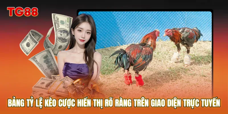 Bảng tỷ lệ kèo cược hiển thị rõ ràng trên giao diện trực tuyến