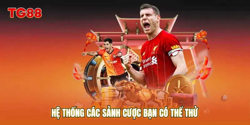 Hệ thống các sảnh cược bạn có thể thử